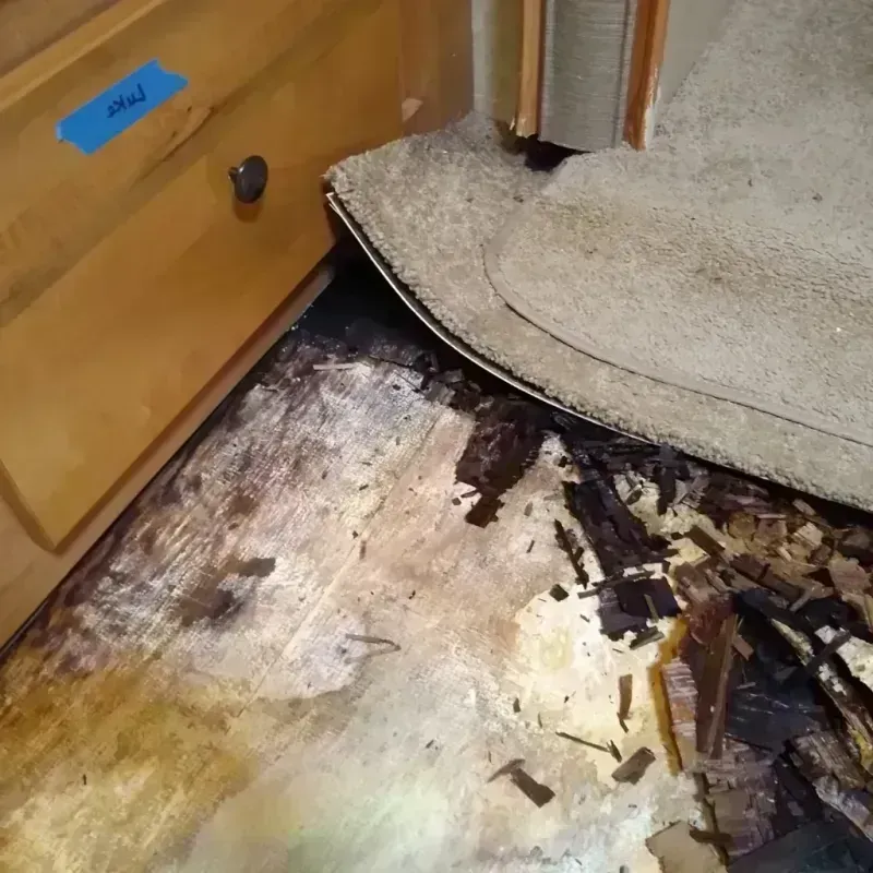 Wood Floor Water Damage in Geneva, FL